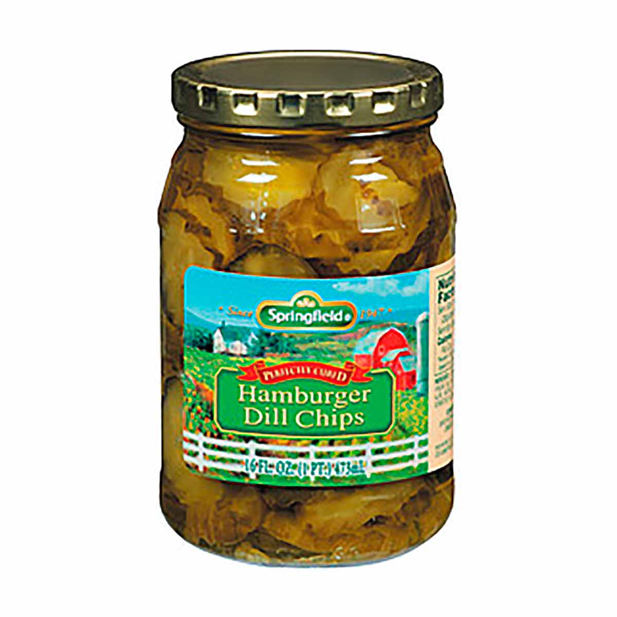 Hamburger Dill Pickle Chips, Hamburger