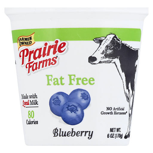 Blueberry Light Fat Free Yogurt, Blueberry