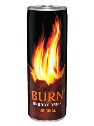 BURN LATA 25 CL