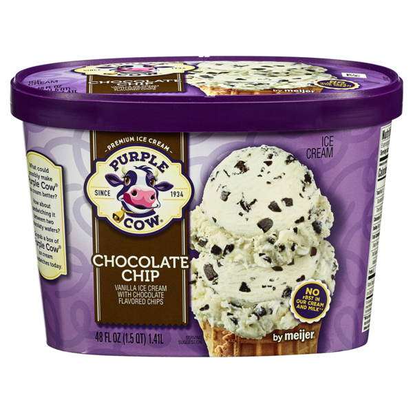 Chocolate Chip Ice Cream