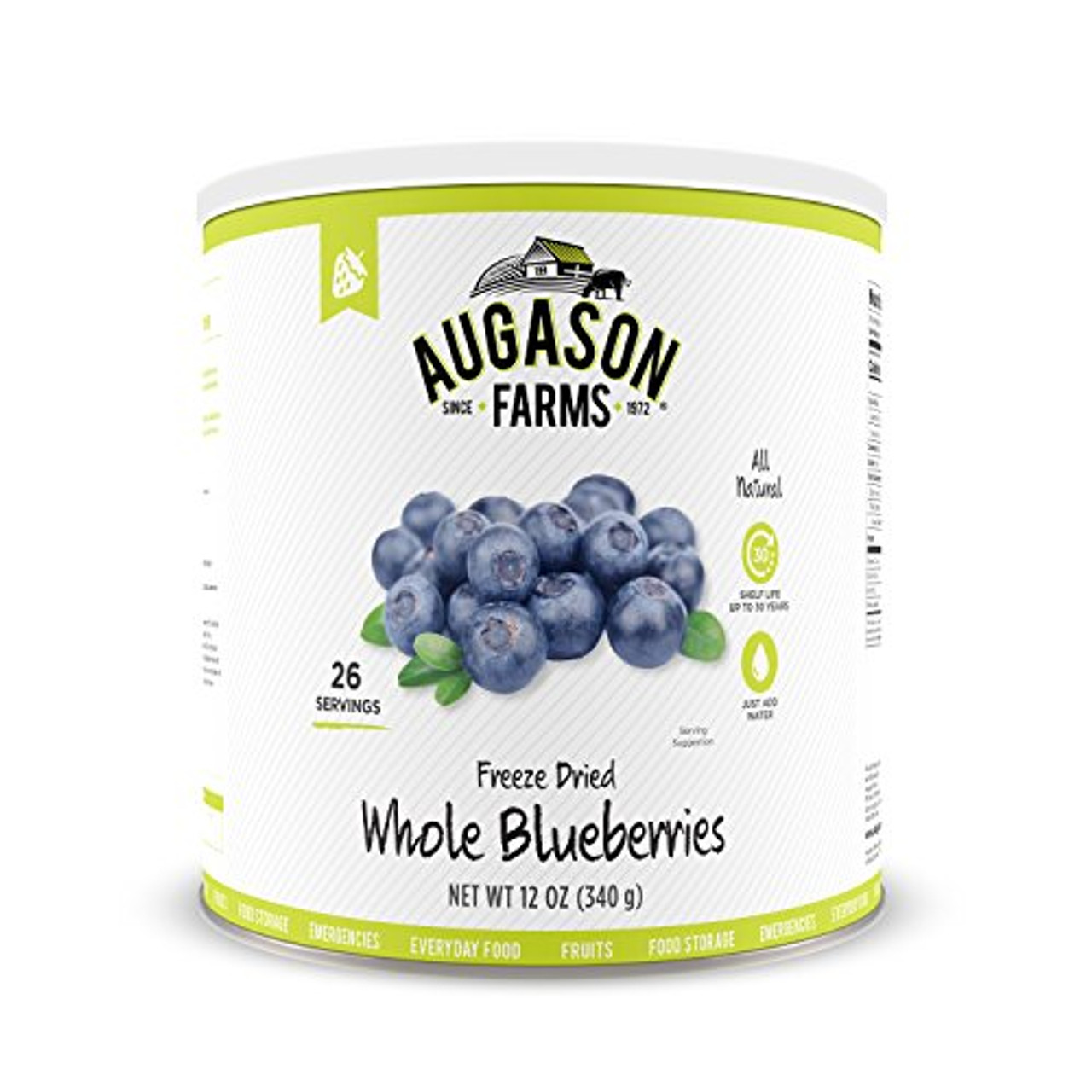Freeze Dried Whole Blueberries