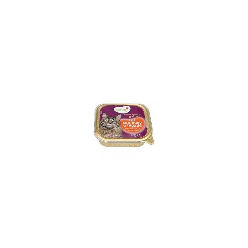 ALIMENTO GATOS CARNE TANDY TARRINA 100 G