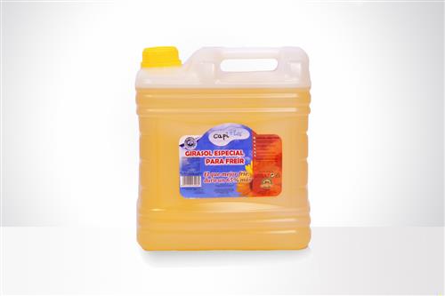 ACEITE A.RENDIMIENTO CAPIPLUS 10 L