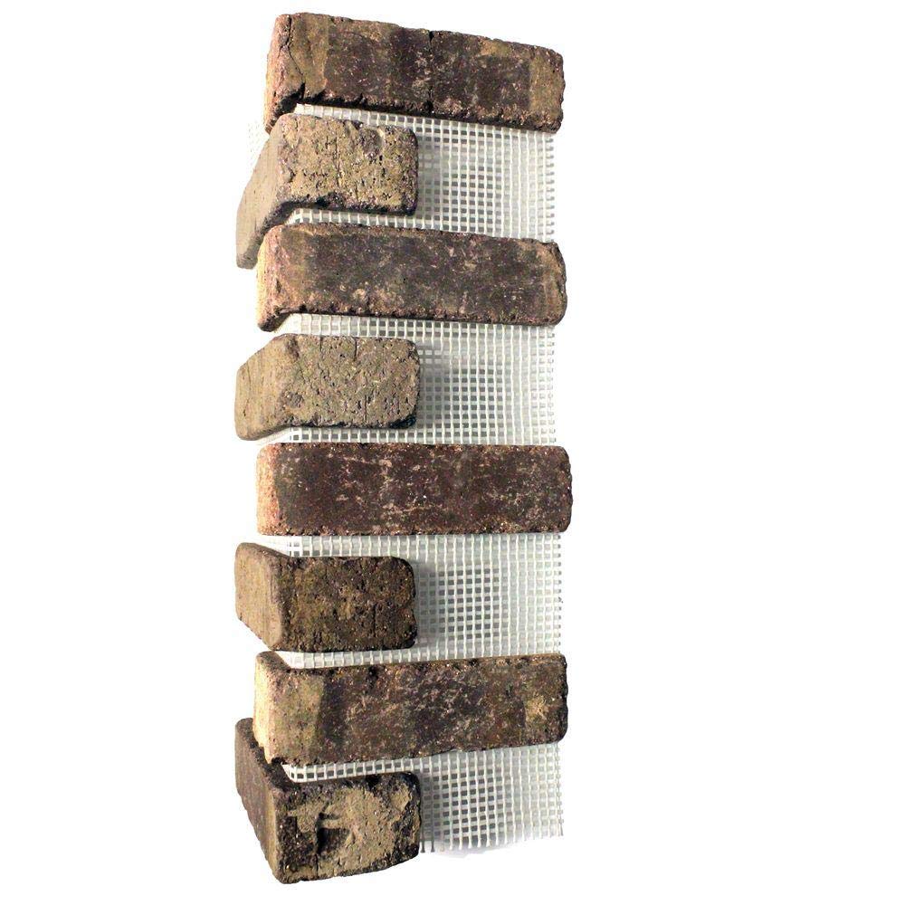 Roasted & Salted Almonds