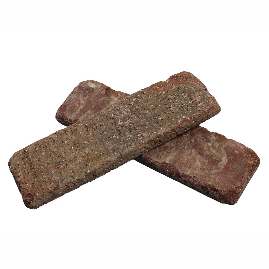 Deglet Noor Pitted Dates