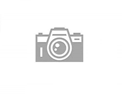 Pitted Dates Fresh Medjool