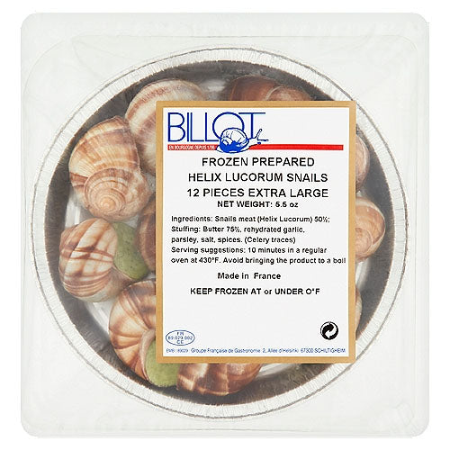 Extra Large Helix Lucorum Snails