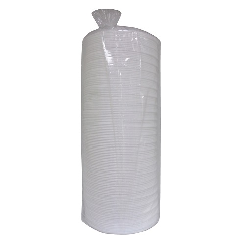 Axxion Foam Plate 9in Plain 125ct Heavy