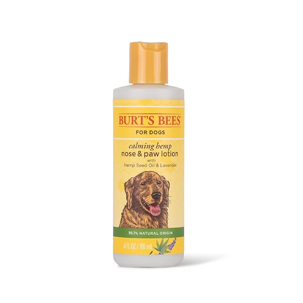 Burt's Bees For Dogs Calming Hemp Paw & Nose Lotion Dog Lotion Dog Paw Balm With Hemp Seed Oil & Lavender Made With Natural Ingredients pH Balanced For Dogs, 4 Oz