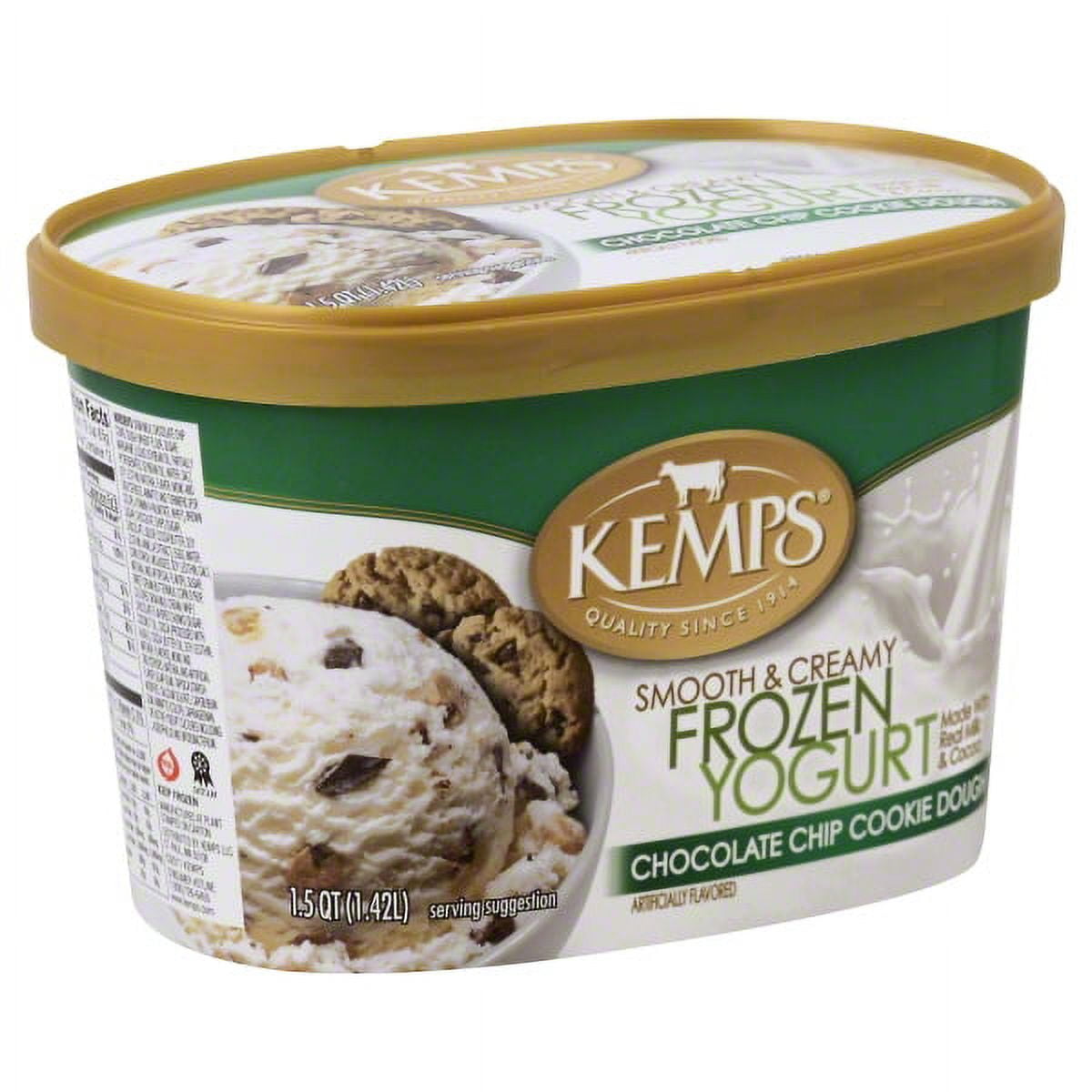 Chocolate Chip Cookie Dough Frozen Yogurt, Chocolate Chip Cookie Dough