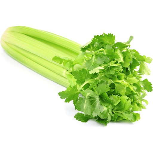 Celery