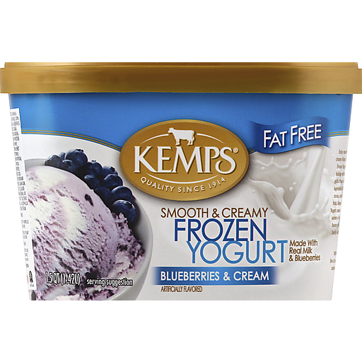 Smooth & Creamy Frozen Yogurt, Blueberries & Cream