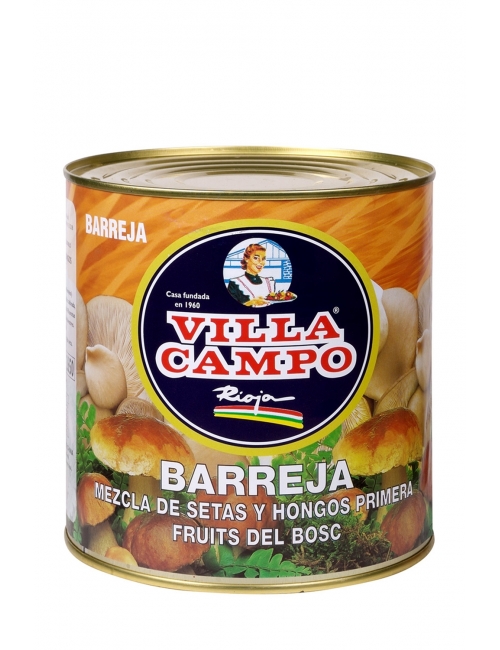 SETAS VARIADAS VILLACAMPO 3 KG