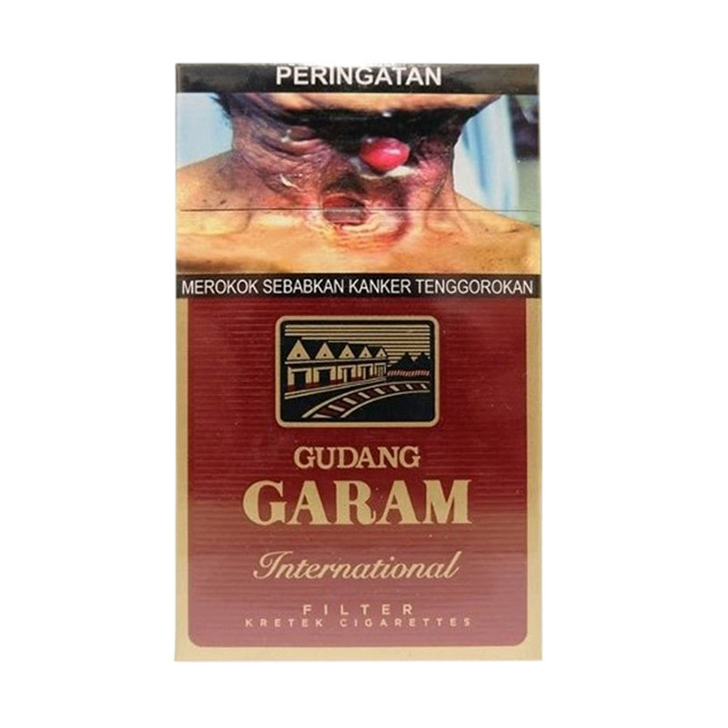 Gudang Garam Filter International 12 S