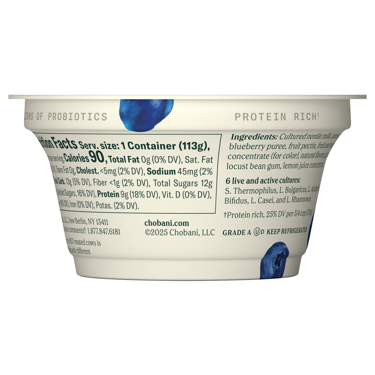 Chobani Blueberry Greek Yogurt, 4 Ounce -- 12 Per Case