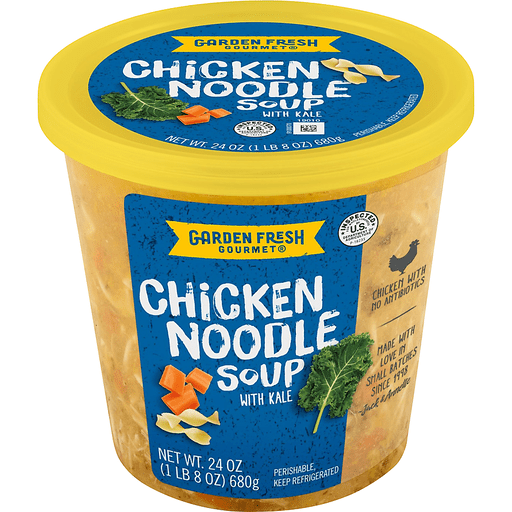 Chicken Noodle Soup with Kale