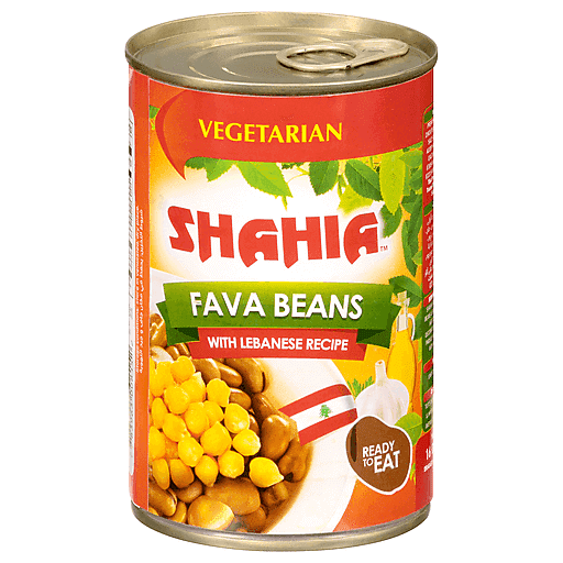 Foul Medammans Fava Beans