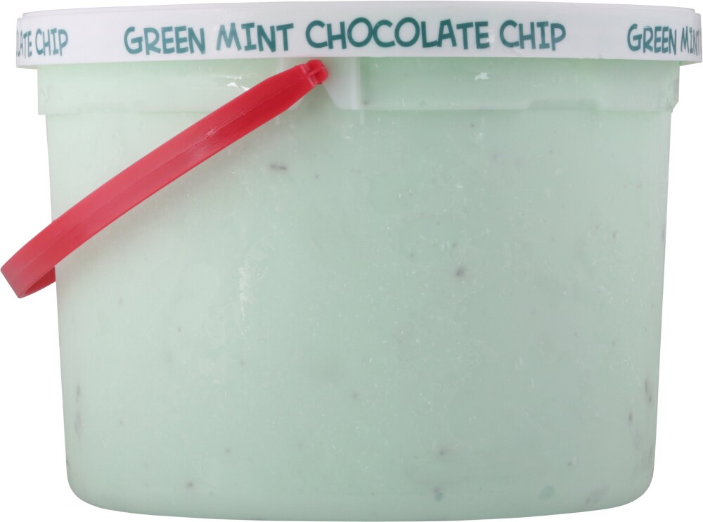 Green Mint Chocolate Chip Ice Cream, Green Mint Chocolate Chip