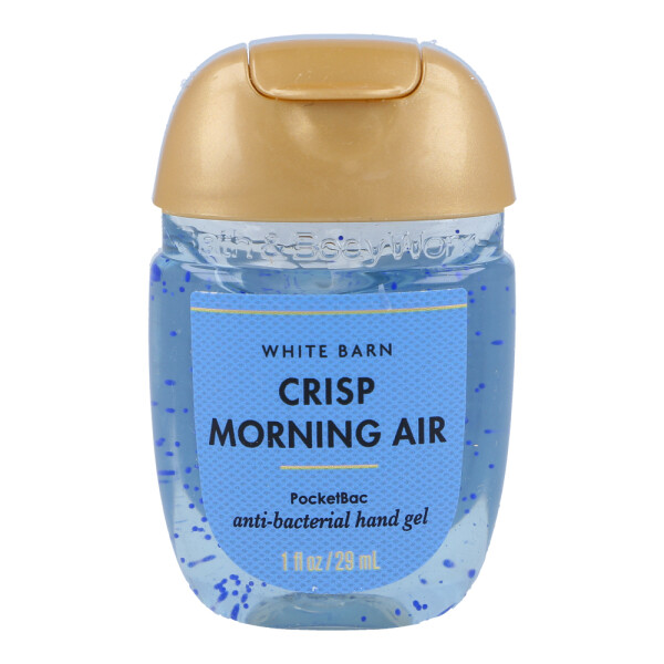 Crisp Morning Air Anti-Bacterial Hand Gel