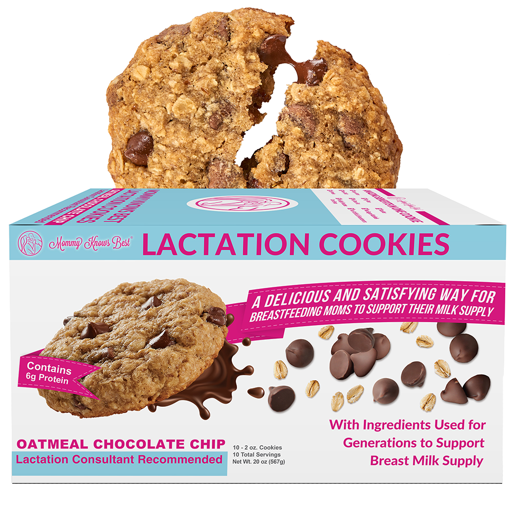 Oatmeal Chocolate Chip Lactation Cookies, Oatmeal Chocolate Chip